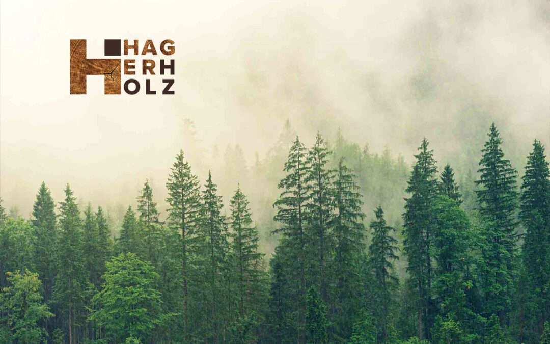 CASE STUDY: A Minimalist Web Presence for Hager Holzbau