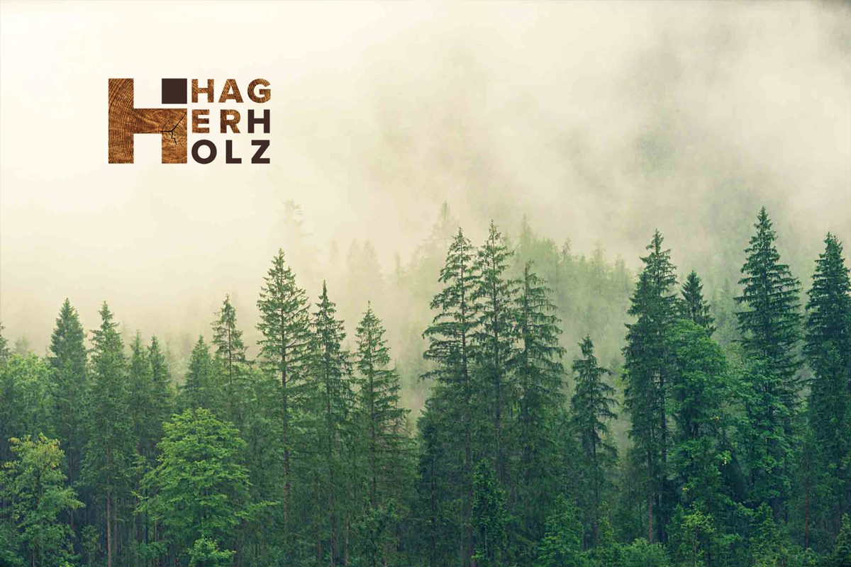 Case Study Hager Holz